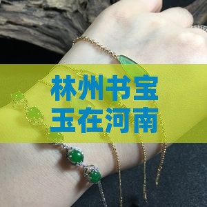 林州书宝玉在河南林州调研指导工作
