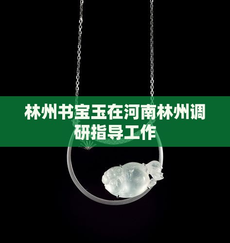 林州书宝玉在河南林州调研指导工作
