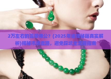 2万左右的翡翠佛公