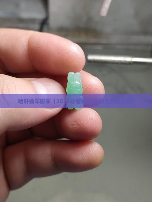 哈轩翡翠搬家