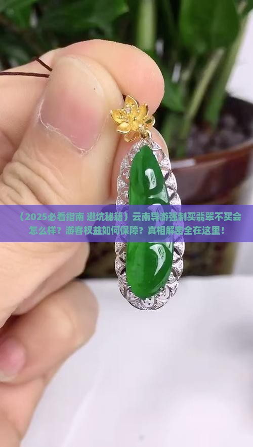 云南导游让买翡翠不买会怎么样