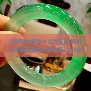 翡翠糯化种是什么的意思