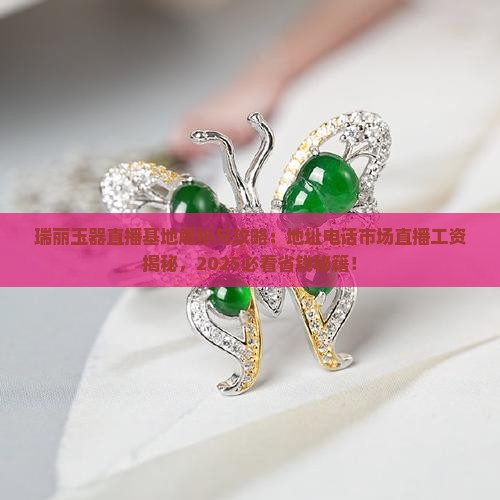 瑞丽玉器直播基地