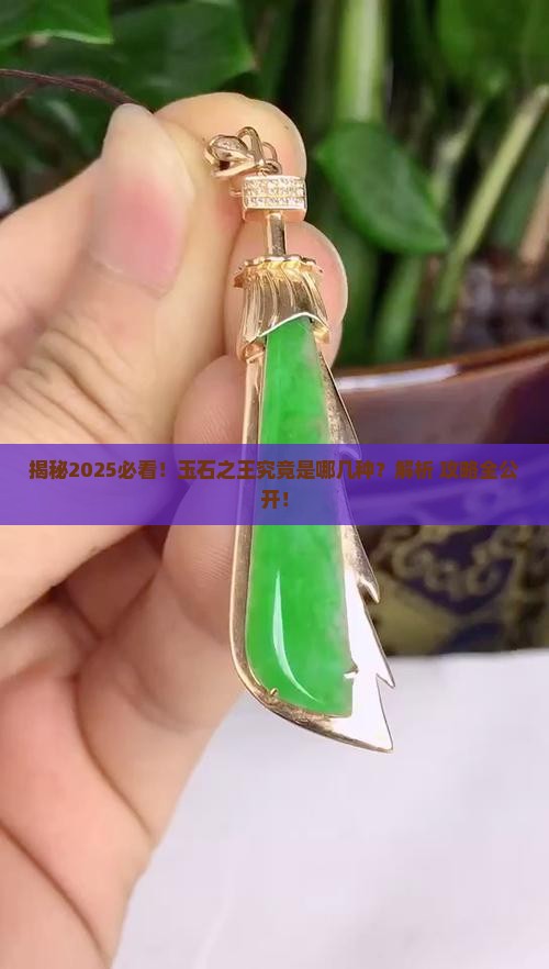 哪些种类是玉石之王的