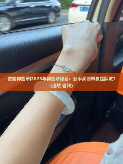 浓晴种翡翠