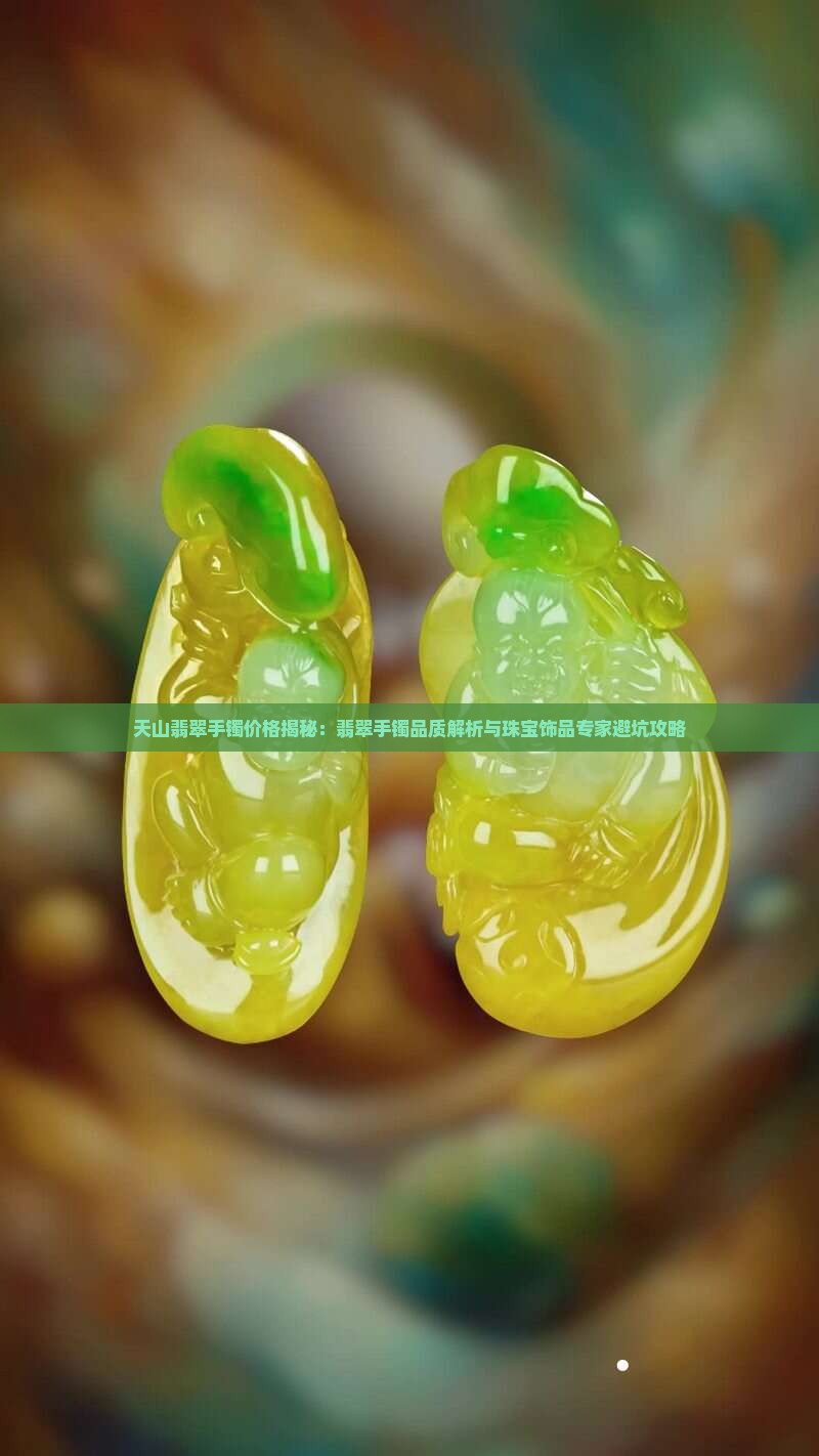 天山翡翠手镯贵么
