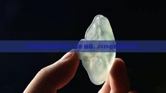 如何看翡翠蟒的好坏