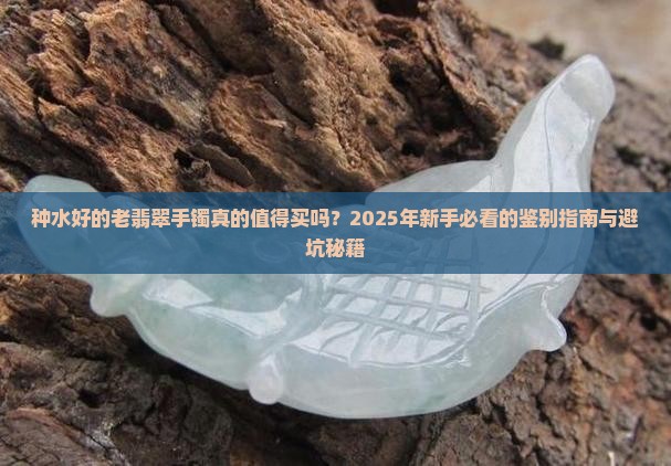 种水好的老翡翠手镯
