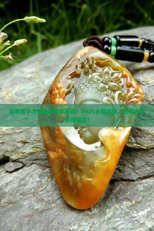 翡翠怎么分辨种老不老