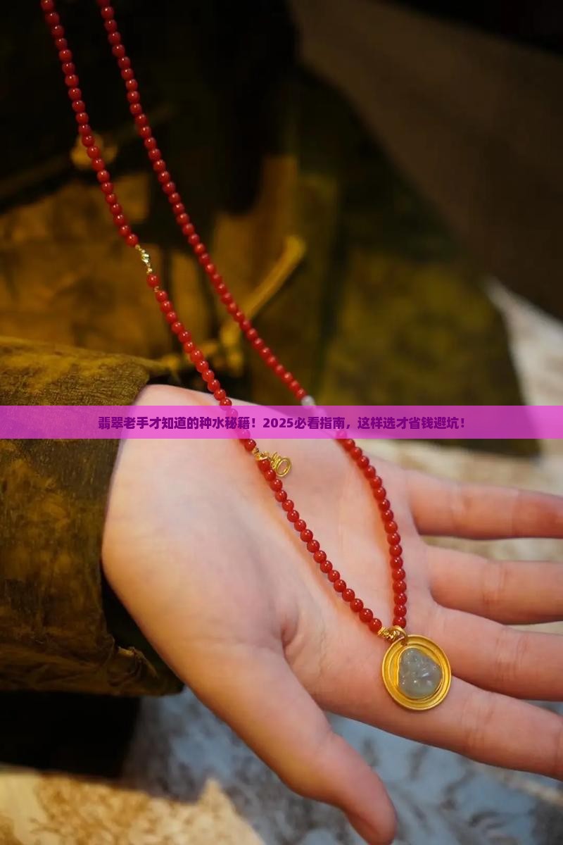 翡翠怎么分辨种老不老