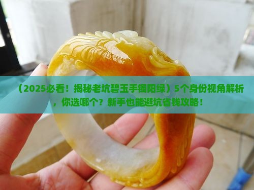 老坑碧玉手镯阳绿