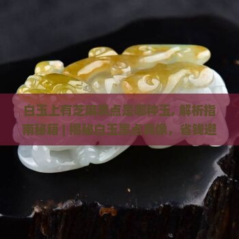 白玉上有芝麻黑点是哪种玉