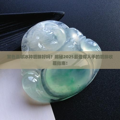 紫色翡翠冰种貔貅好吗