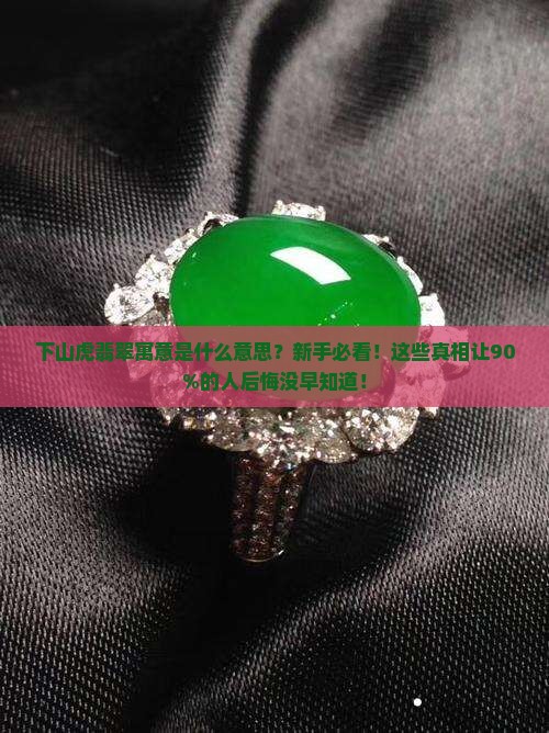 下山虎翡翠寓意是什么意思