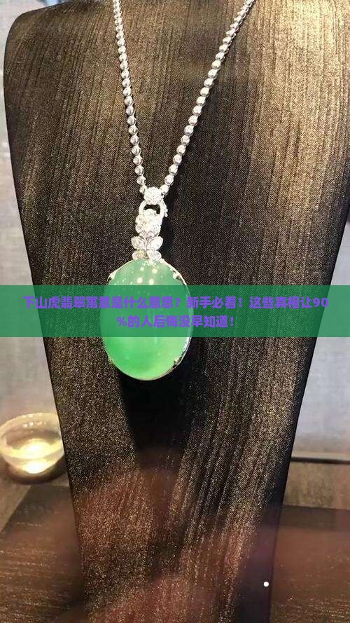 下山虎翡翠寓意是什么意思
