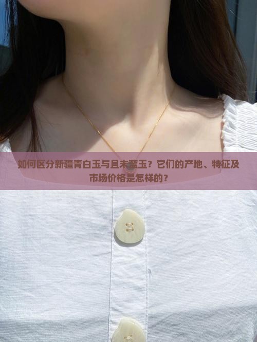 如何区分新疆青白玉与且末蓝玉？它们的产地、特征及市场价格是怎样的？