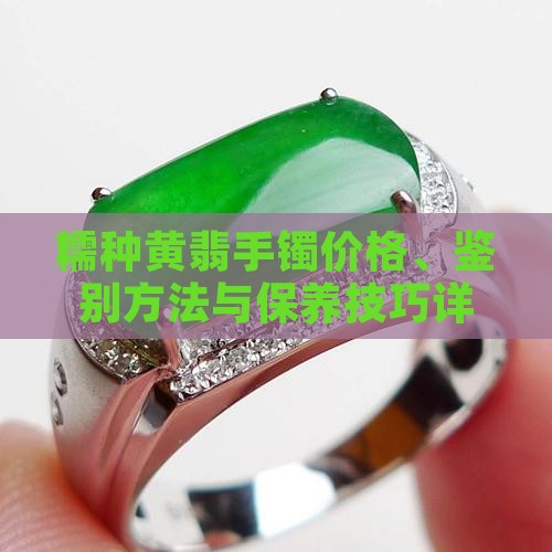 糯种黄翡手镯价格、鉴别方法与保养技巧详解