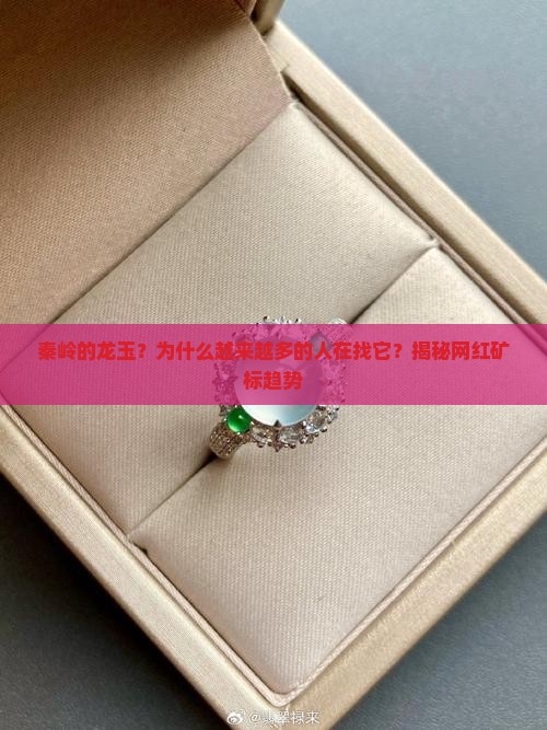 秦岭的龙玉？为什么越来越多的人在找它？揭秘网红矿标趋势