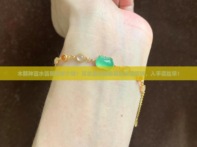 木那种蓝水翡翠佛多少钱？高货翡翠佛像稀缺资源紧俏，入手需趁早！