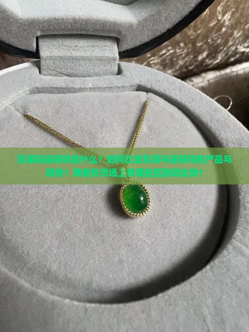 及第和德翠祥是什么？如何比较及第与德翠祥的产品与服务？两者在市场上有哪些区别和优势？