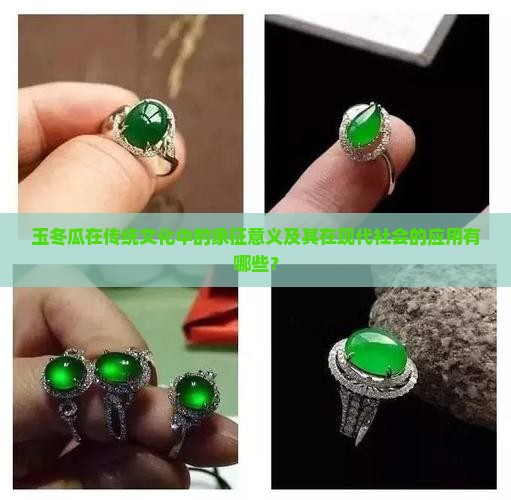 玉冬瓜在传统文化中的象征意义及其在现代社会的应用有哪些？