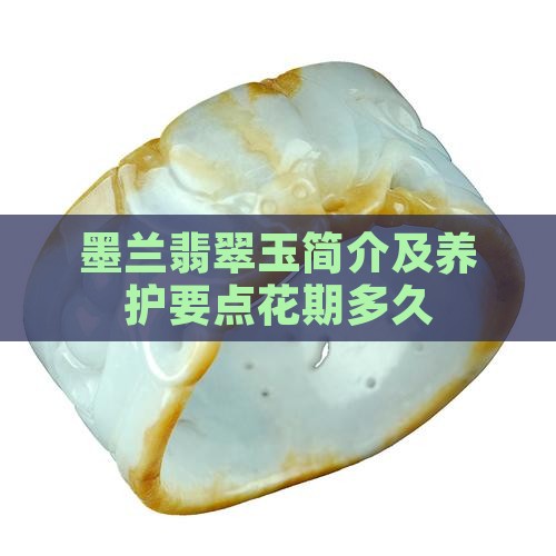墨兰翡翠玉简介及养护要点花期多久