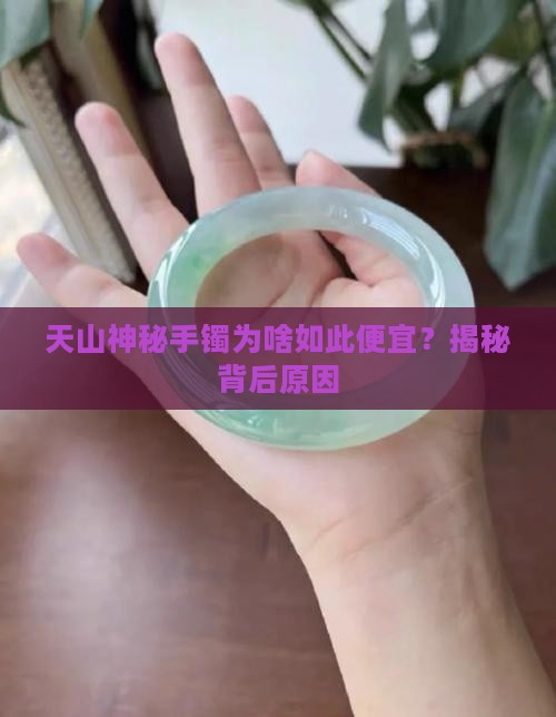 天山神秘手镯为啥如此便宜？揭秘背后原因