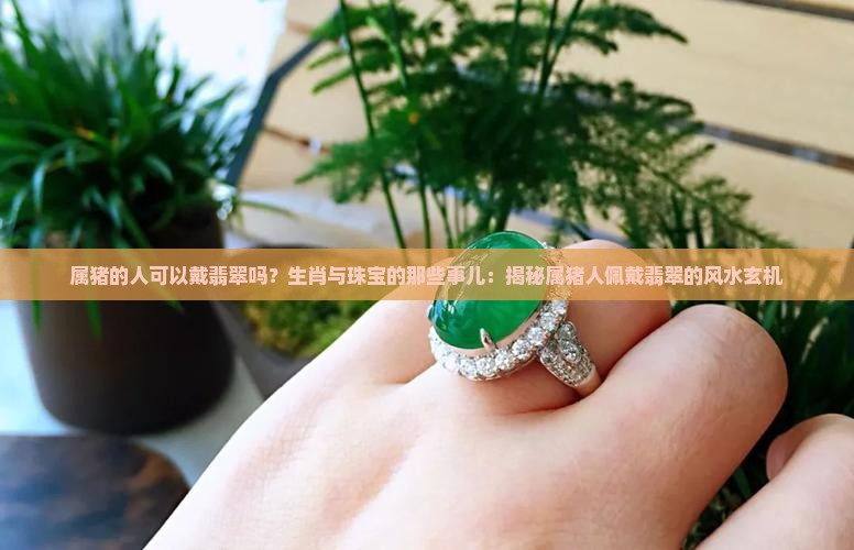 属猪的人可以戴翡翠吗？生肖与珠宝的那些事儿：揭秘属猪人佩戴翡翠的风水玄机