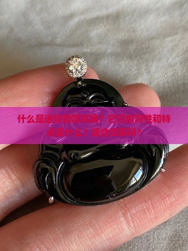 什么是迷你翡翠鹦鹉？它们的习性和特点是什么？适合饲养吗？