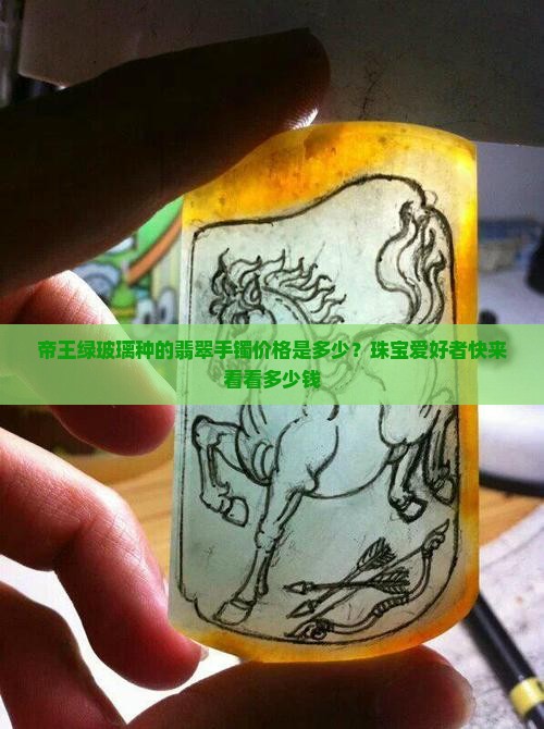 帝王绿玻璃种的翡翠手镯价格是多少？珠宝爱好者快来看看多少钱