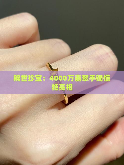 稀世珍宝：4000万翡翠手镯惊艳亮相