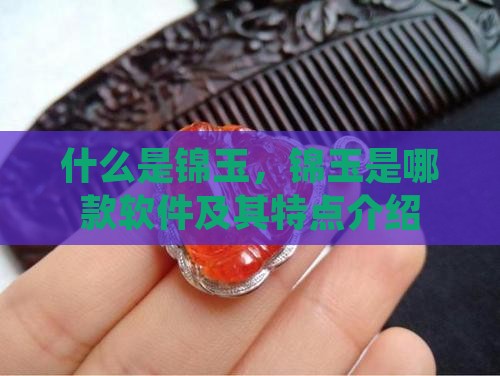 什么是锦玉，锦玉是哪款软件及其特点介绍
