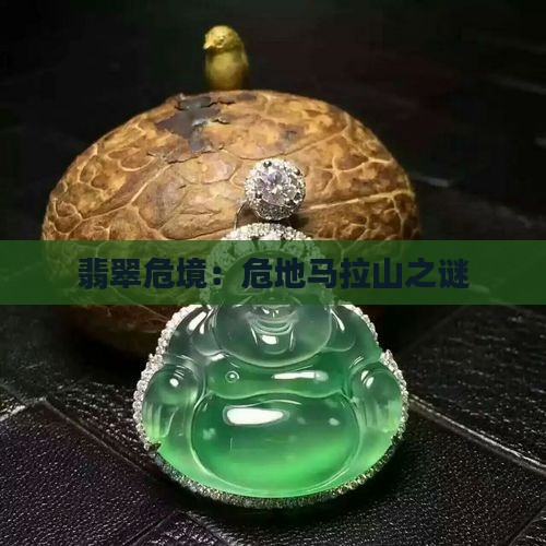 翡翠危境：危地马拉山之谜