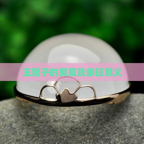 玉簪子的寓意及象征意义