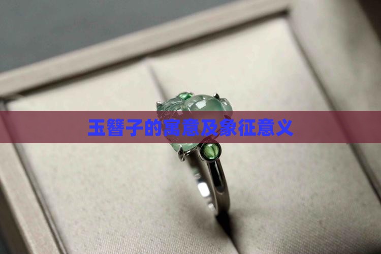 玉簪子的寓意及象征意义
