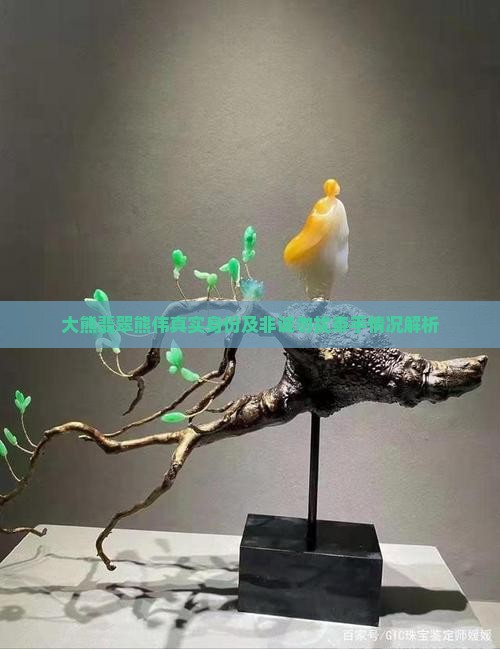 大熊翡翠熊伟真实身份及非诚勿扰牵手情况解析