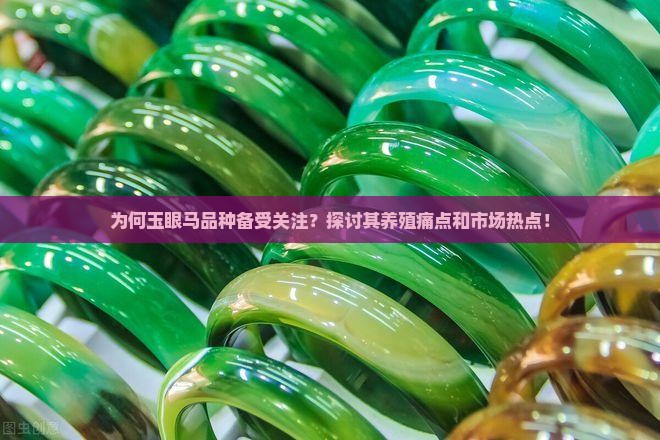 为何玉眼马品种备受关注？探讨其养殖痛点和市场热点！