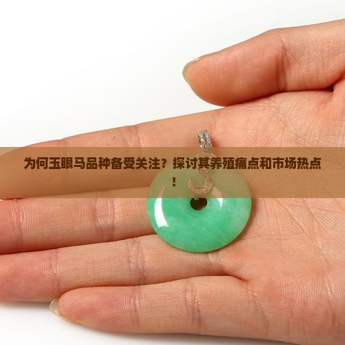为何玉眼马品种备受关注？探讨其养殖痛点和市场热点！