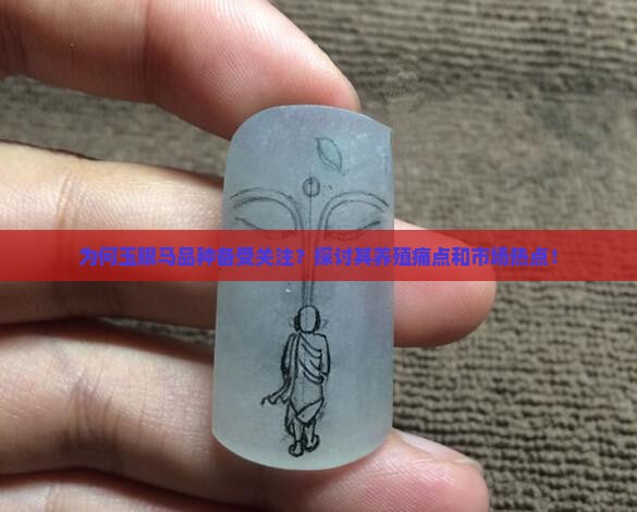 为何玉眼马品种备受关注？探讨其养殖痛点和市场热点！