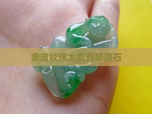象皮纹理大象翡翠原石