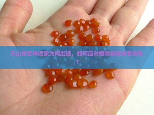 天山翠变种现象为何出现，如何应对植物基因突变危机？