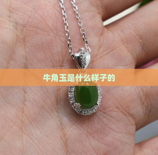 牛角玉是什么样子的