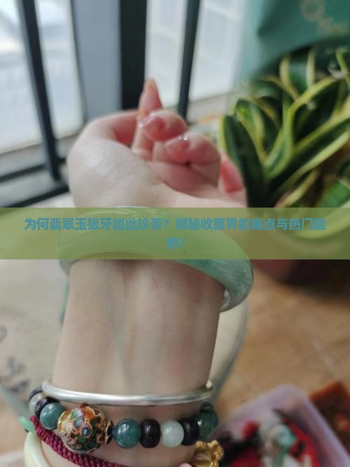 为何翡翠玉狼牙如此珍贵？揭秘收藏界的痛点与热门趋势！