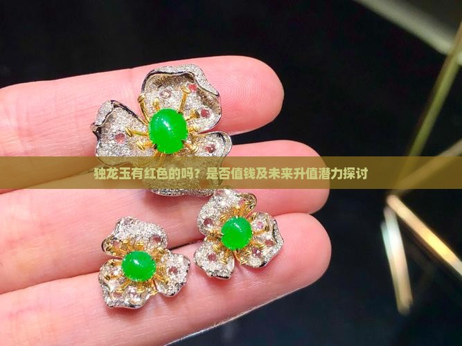 独龙玉有红色的吗？是否值钱及未来升值潜力探讨
