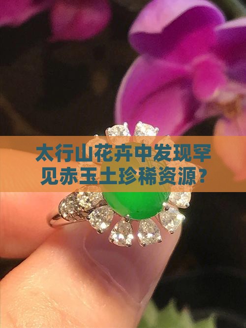 太行山花卉中发现罕见赤玉土珍稀资源？