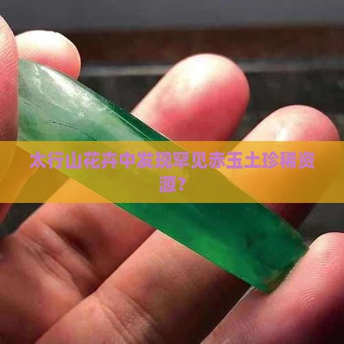 太行山花卉中发现罕见赤玉土珍稀资源？
