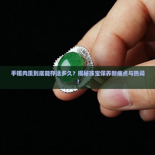 手镯肉质到底能存活多久？揭秘珠宝保养新痛点与热词！