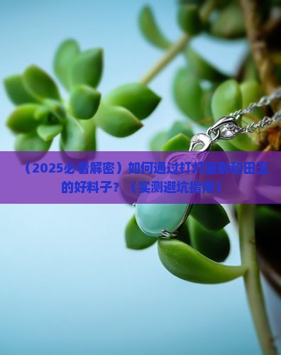 玉石打灯什么样是好的料子呢 玉石打灯什么样是好的料子呢