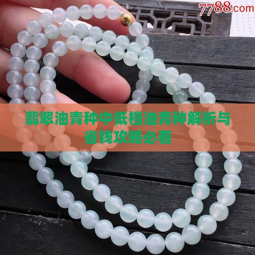 翡翠玉青油种