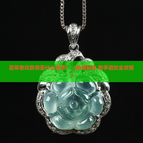 翡翠老坑胶感什么意思